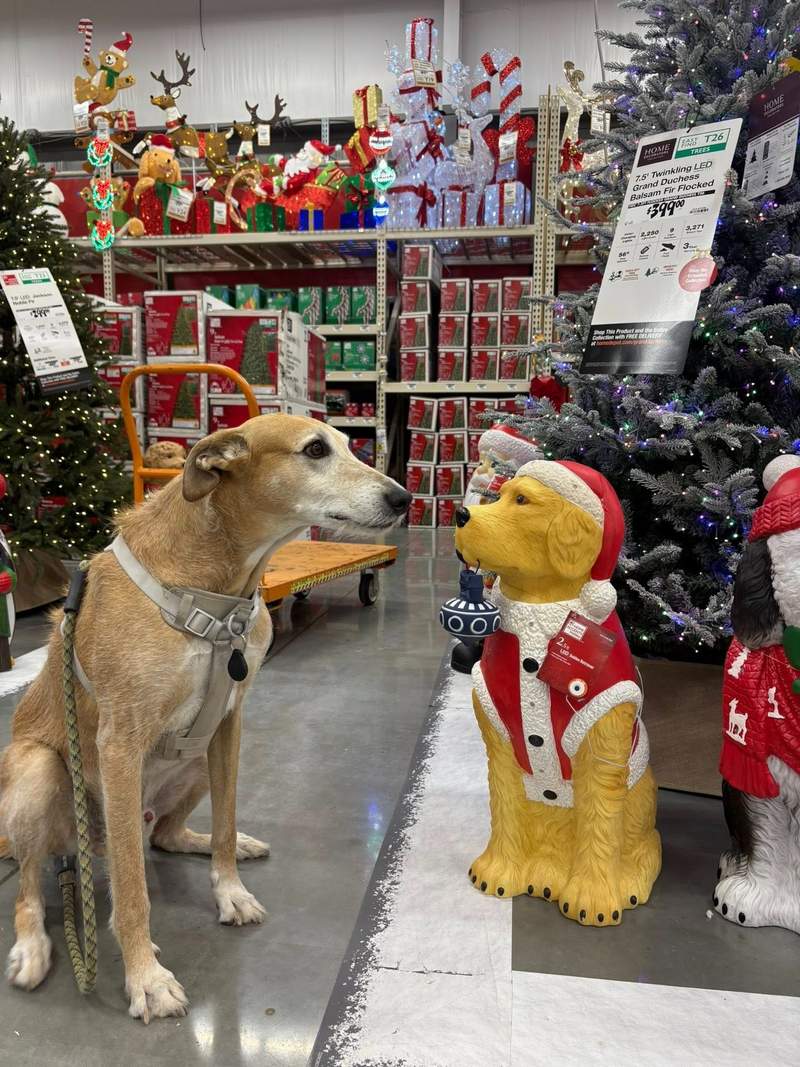 Garage door service and repair