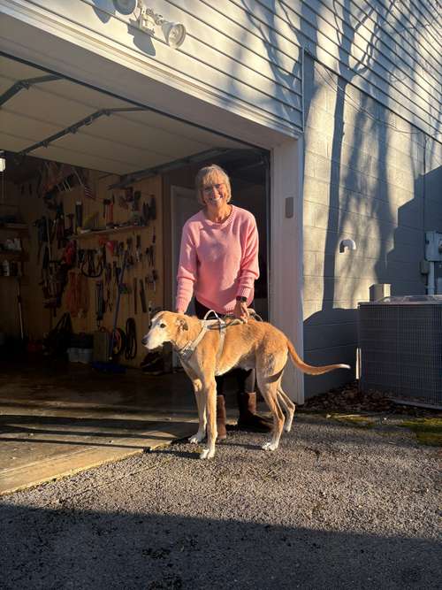 Lambo and a customer